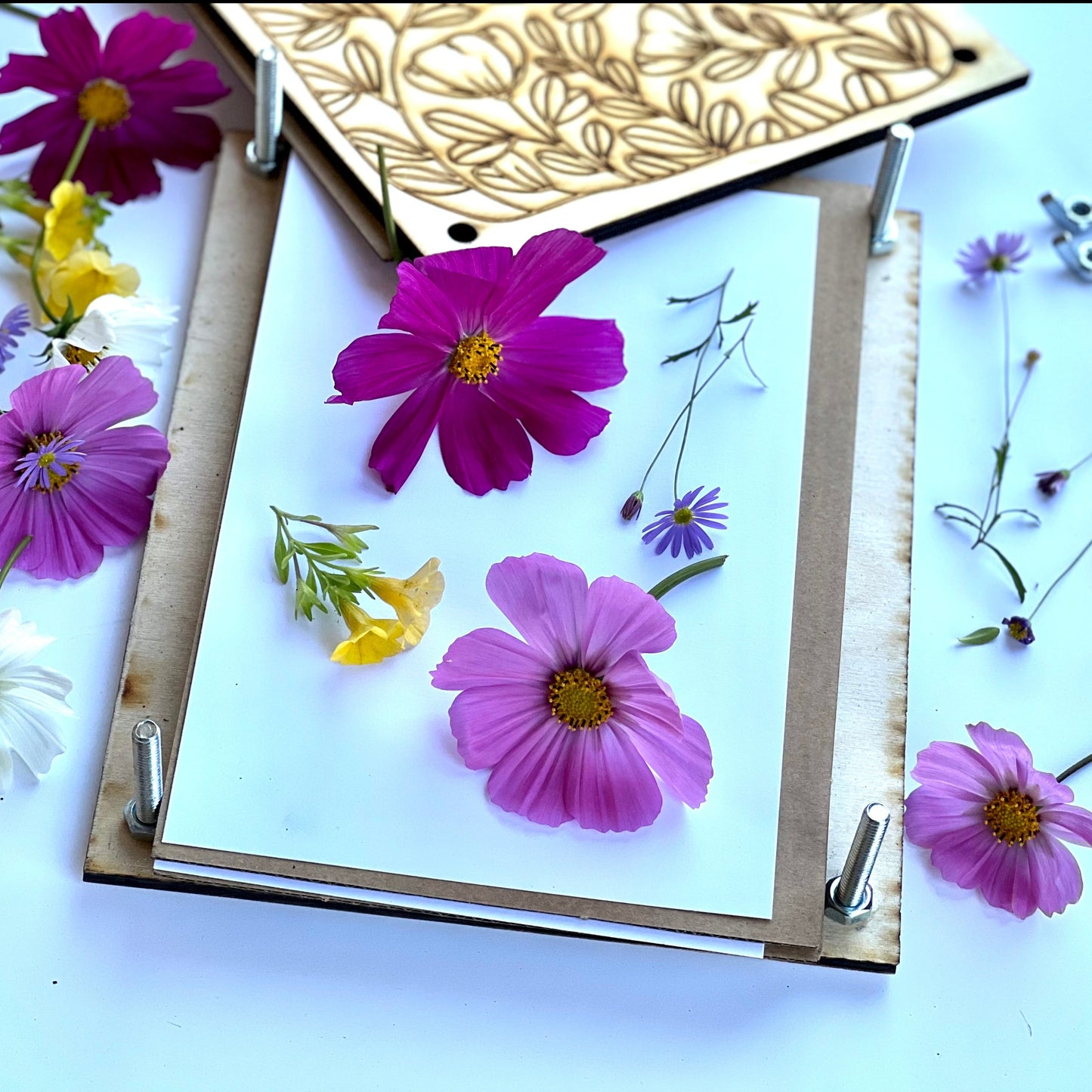 Flower-press-fall-leaves