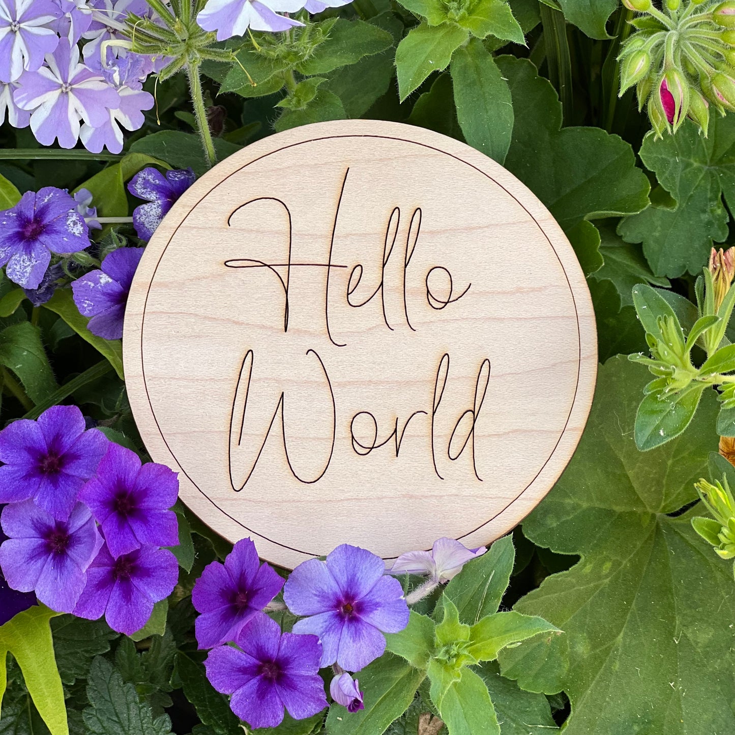 Hello World Sign