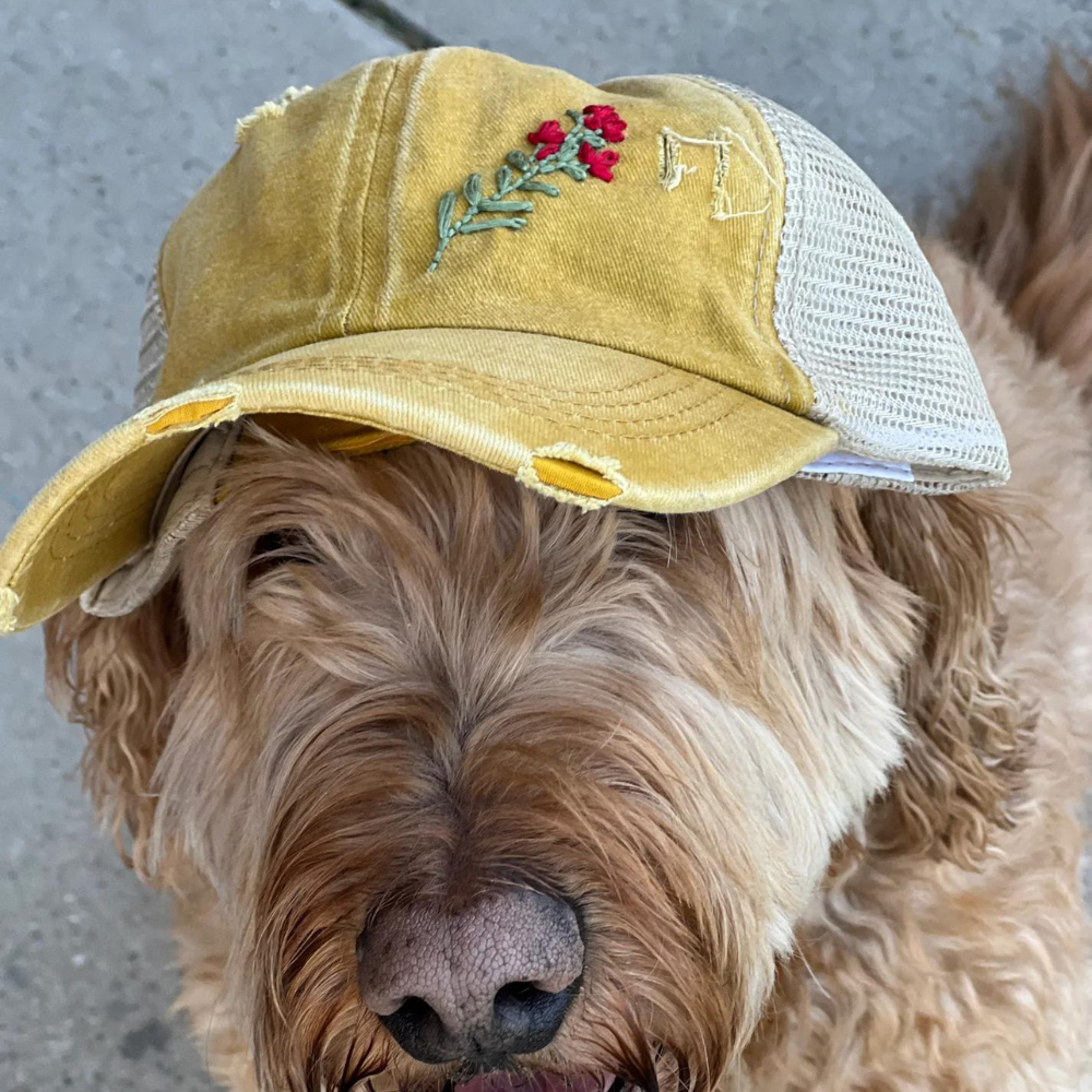 embroidery-hat-crisscross-ponytail-diy-floral